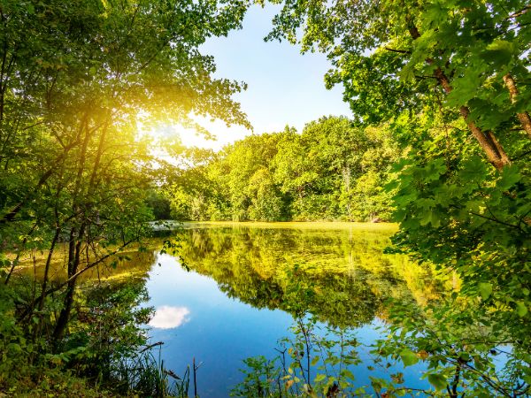 hill hook local nature reserve in sutton coldfield