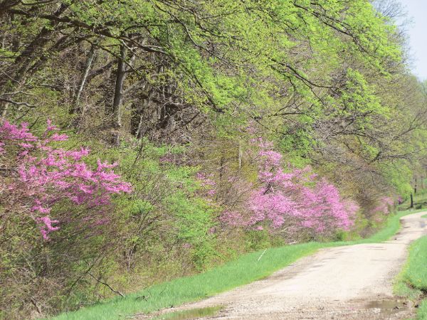 new hall valley country park in sutton coldfield