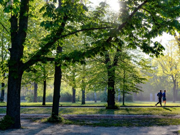 sutton park in sutton coldfield
